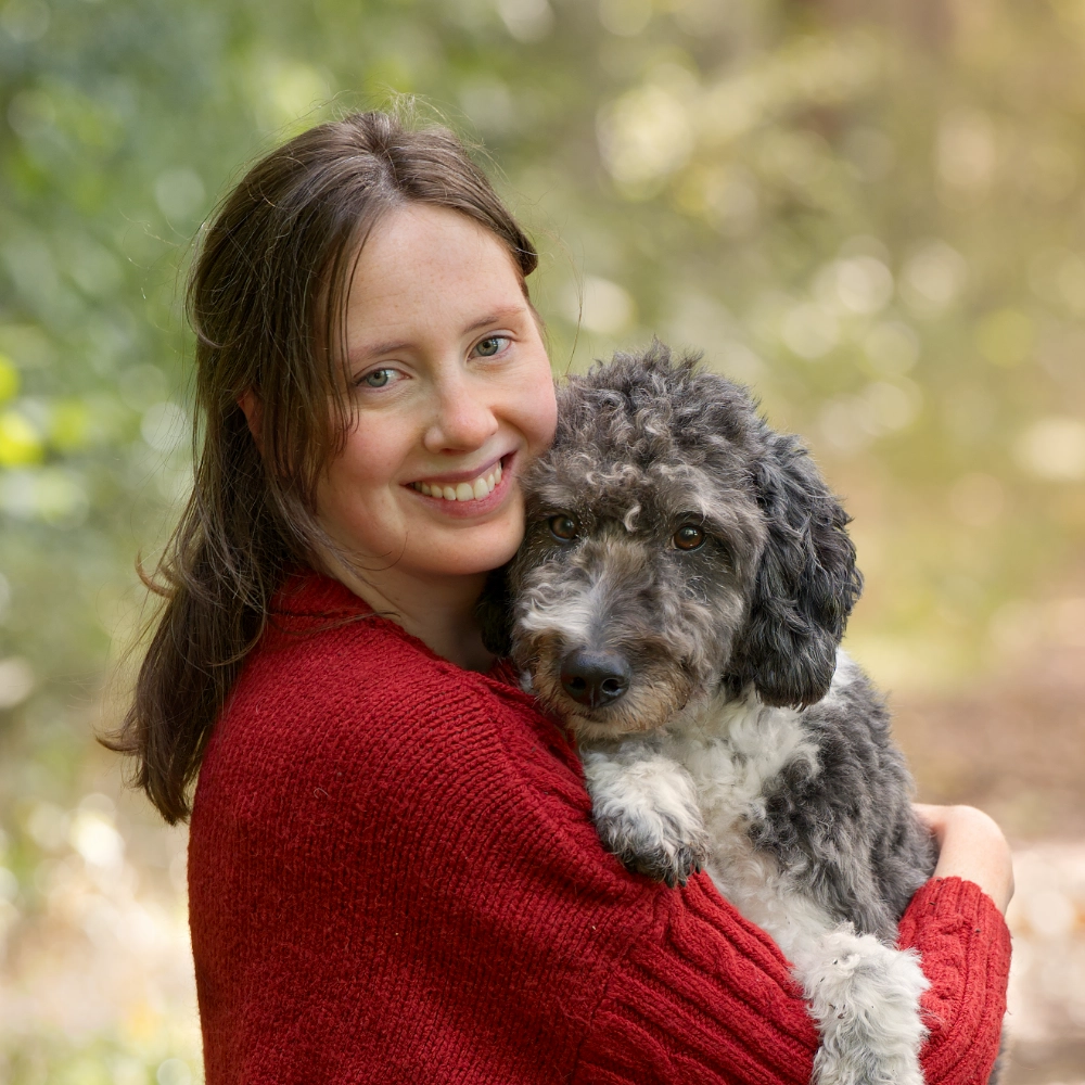 Honden fotografie Gelderland Dog photography
Hondenfotografie
